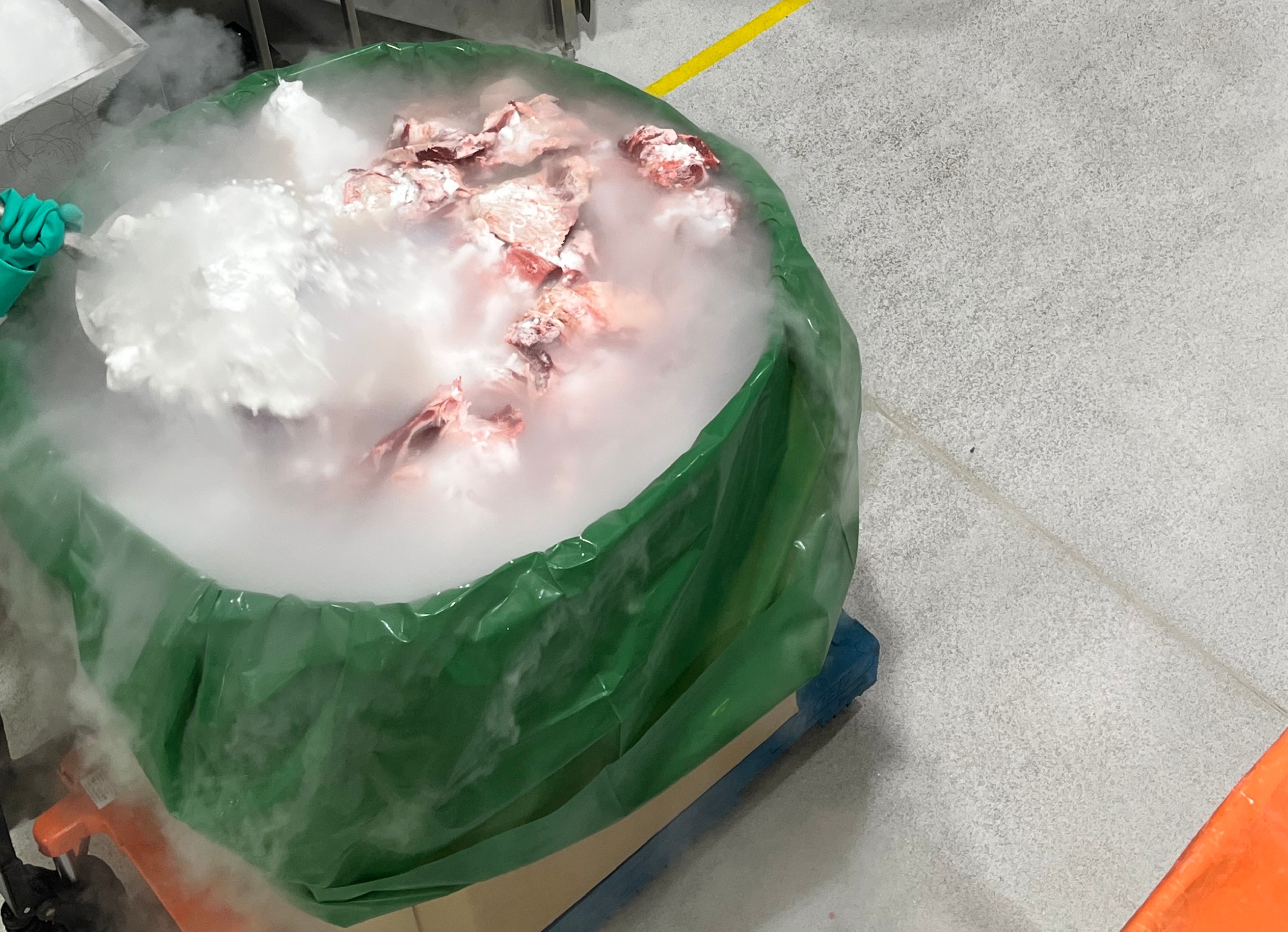 Research project identifies cost saving opportunities for cooling trim in red meat processing