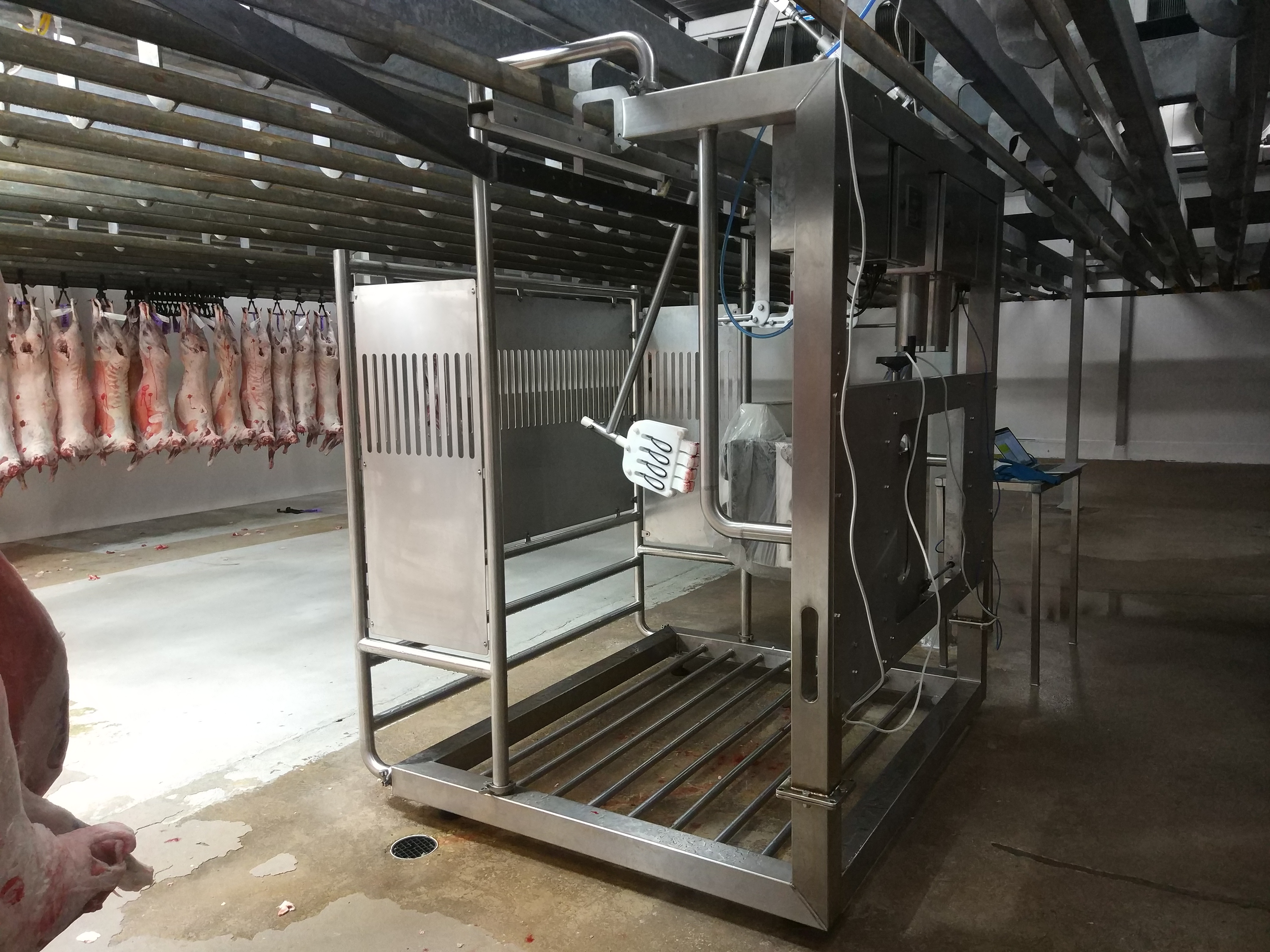 New sensor tool helps to measure eating quality in sheep meat