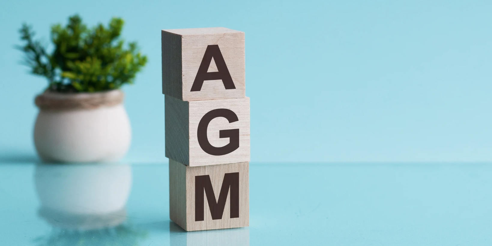 AMPC members approve changes to constitution and farewell independent director Dr Saranne Cooke